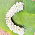 Jasmine Veani - Image 2