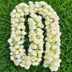 BLOOMED - Image 2