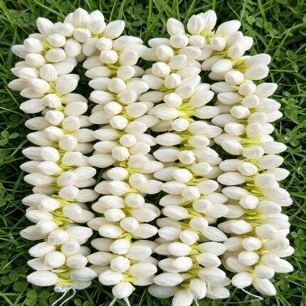 JASMINE